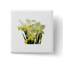 Daffodils and Buds buttons