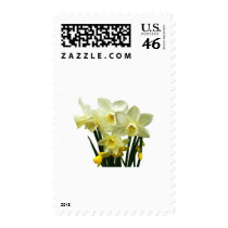 Daffodils and Buds stamps