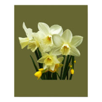 Daffodils and Buds posters