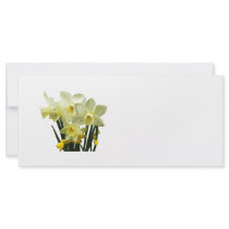 Daffodils and Buds rack cards
