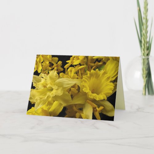 Daffodils and Forsythia Birthday zazzle_card