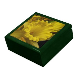 Daffodils and Forsythia Jewelry Box