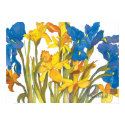 Daffodils and Iris posters by JanPorterfield Daffodils and Iris posters