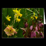 Daffodils and Lenten Roses Blank Card