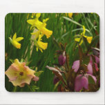 Daffodils and Lenten Roses Mousepad