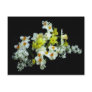 Daffodils and Lilacs Post Cards