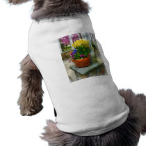 Daffodils and Pansies in Flowerpot pet clothing