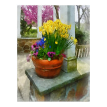 Daffodils and Pansies in Flowerpot posters