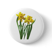 Daffodils At Attention Buttons