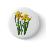 Daffodils At Attention Buttons