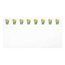 Daffodils At Attention Picture Card