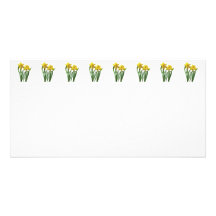 Daffodils At Attention Picture Card