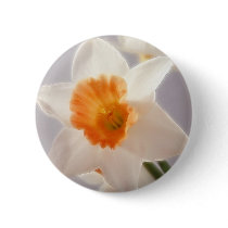 Daffodils Pinback Button
