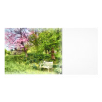 Daffodils by Bench Picture Card