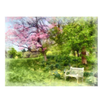 Daffodils by Bench posters