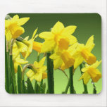 DAFFODILS by SHARON SHARPE Mouse Mat