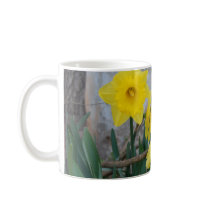 Daffodils by the Barn mugs by GraemePark Daffodils by the Barn mugs