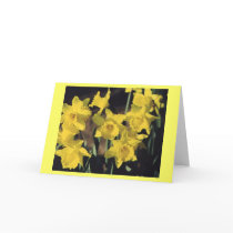 Daffodils Greeting Card
