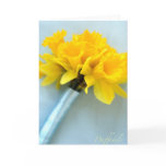 yellow, blue, flowers, daffodils, floral, still