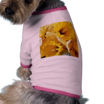 Daffodils pet clothing