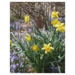 Daffodils flyers