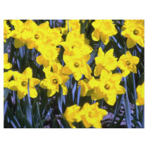 Daffodils Flyers