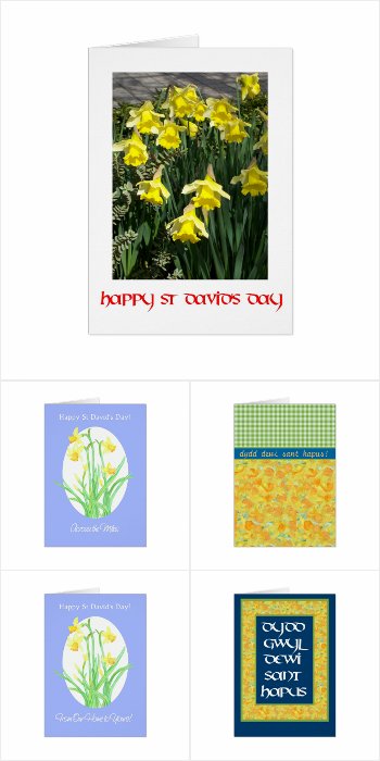 Daffodils for St David's Day