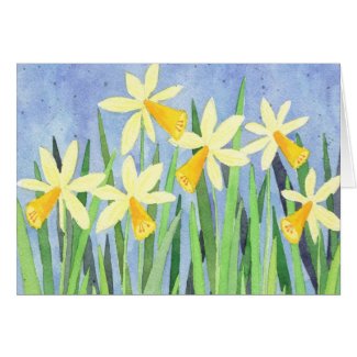 Daffodils - Greeting Card