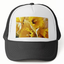 Daffodils hats