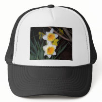 Daffodils hats