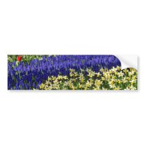 Daffodils, hyacinth and tulips Yellow flowers Bumper Sticker
