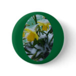 DAFFODILS IN THE SNOW BUTTON