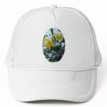 DAFFODILS IN THE SNOW hats