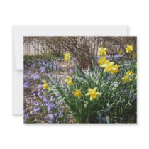 Daffodils invitations