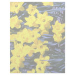 Daffodils Letterhead Template