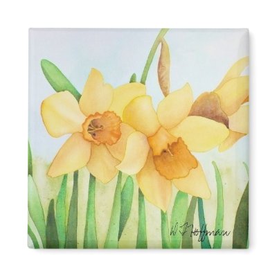 Daffodils Magnet by ditayhoff
