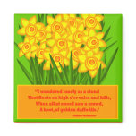 Daffodils magnets