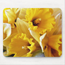Daffodils mousepads by lifesphere Daffodils mousepads
