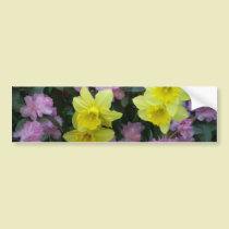 Daffodils/Narcissus/Azalea bumper stickers