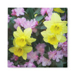 daffodils, narcissus, azalea, flower, floral,