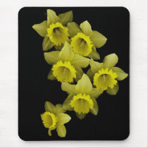 Daffodils On Black mousepads by DocPixel Daffodils On Black mousepads
