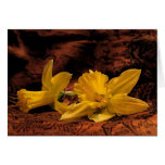 Daffodils on Fabric Thank You Greeting Card