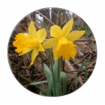Daffodils photo sculptures