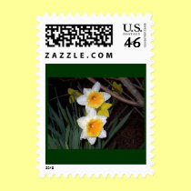 Daffodils stamps