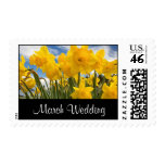 daffodils stamps