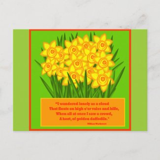 Daffodils postcard