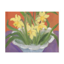 DAFFODILS postcards by susanpaynetrutna DAFFODILS postcards