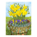 Daffodils posters by _Squirrel_ Daffodils posters