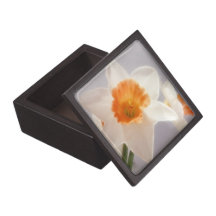 Daffodils Premium Keepsake Boxes
