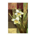 Daffodils Print by karyn_lewis Daffodils Print